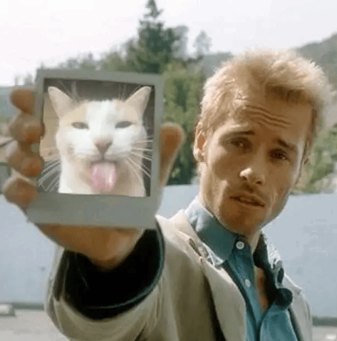 memento cat